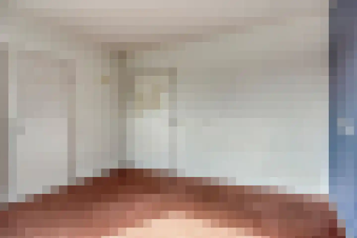 Bertiusstraat 24 Wolphaartsdijk thumbnail 9