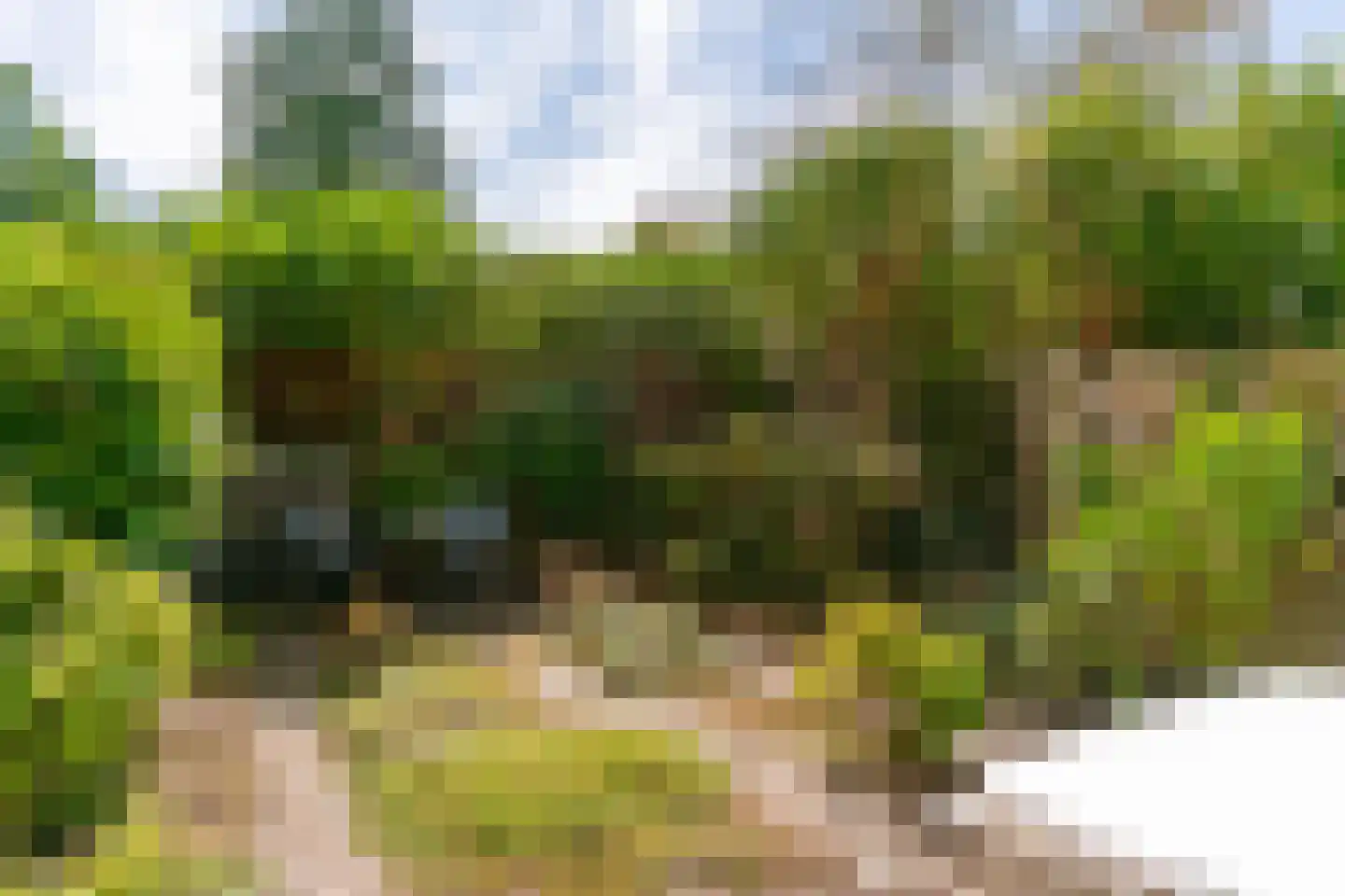 Bertram 110 Uithoorn thumbnail 22