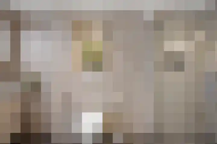 Bertram 119 Uithoorn thumbnail 27
