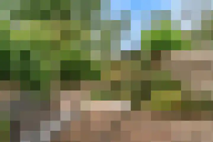 Bertram 132 Uithoorn thumbnail 21