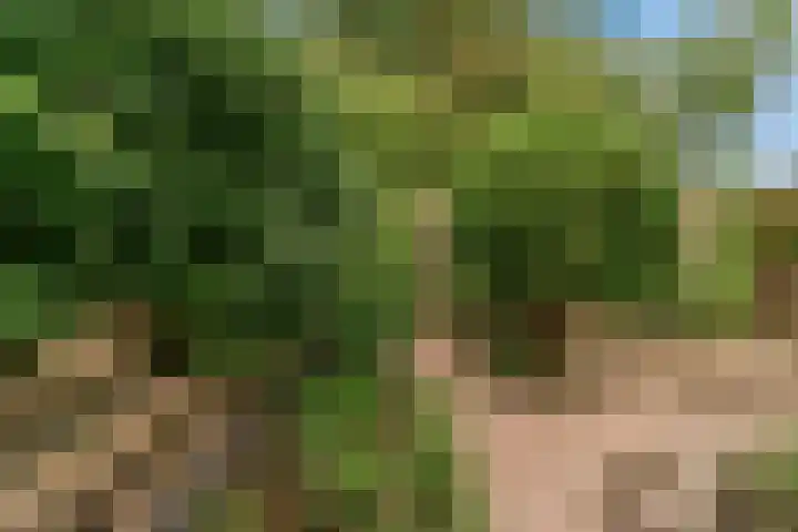 Bertram 132 Uithoorn thumbnail 22