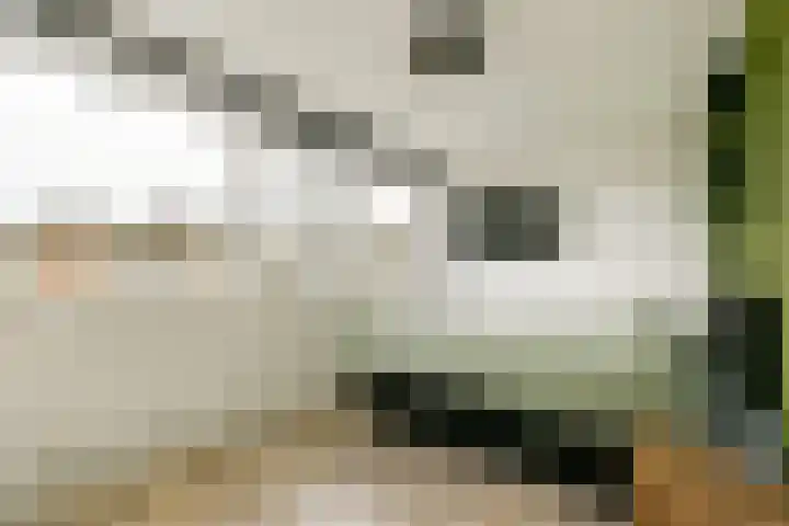 Bertram 155 Uithoorn thumbnail 14