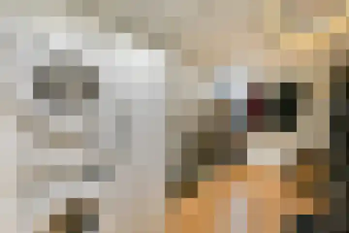 Bertram 155 Uithoorn thumbnail 22