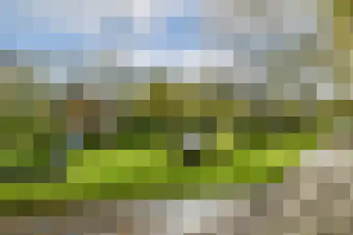 Bertram 155 Uithoorn thumbnail 27
