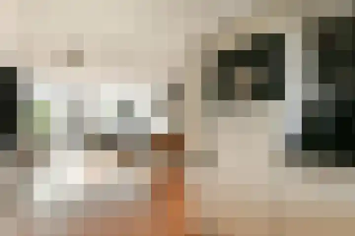 Bertram 155 Uithoorn thumbnail 9