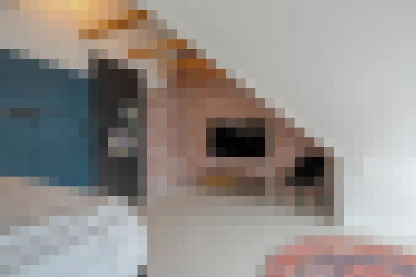 Bertram 9 Meppel thumbnail 32