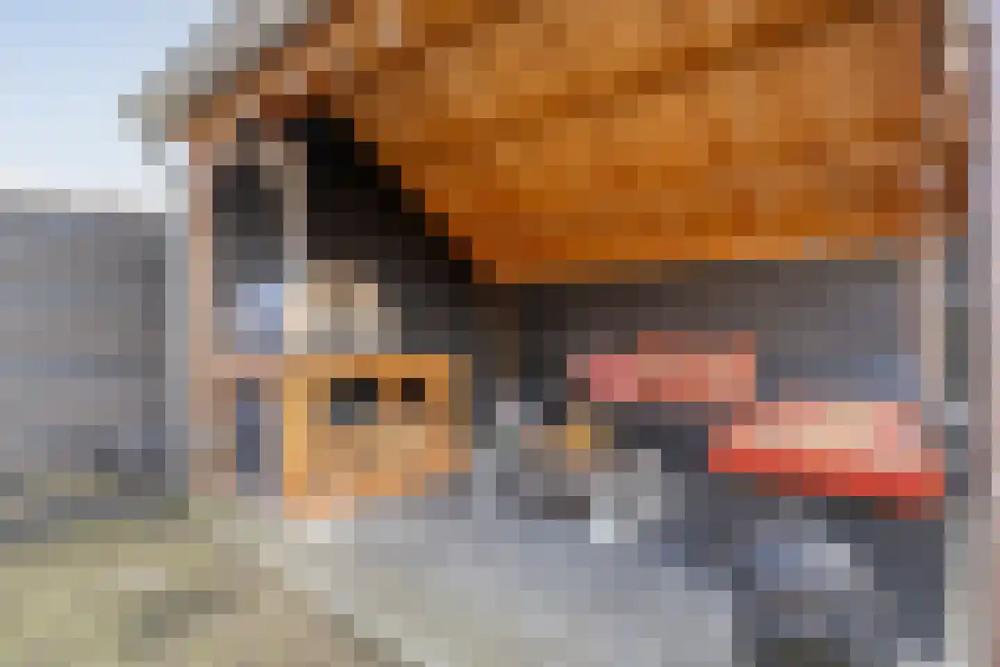 Bertram 9 Meppel thumbnail 36