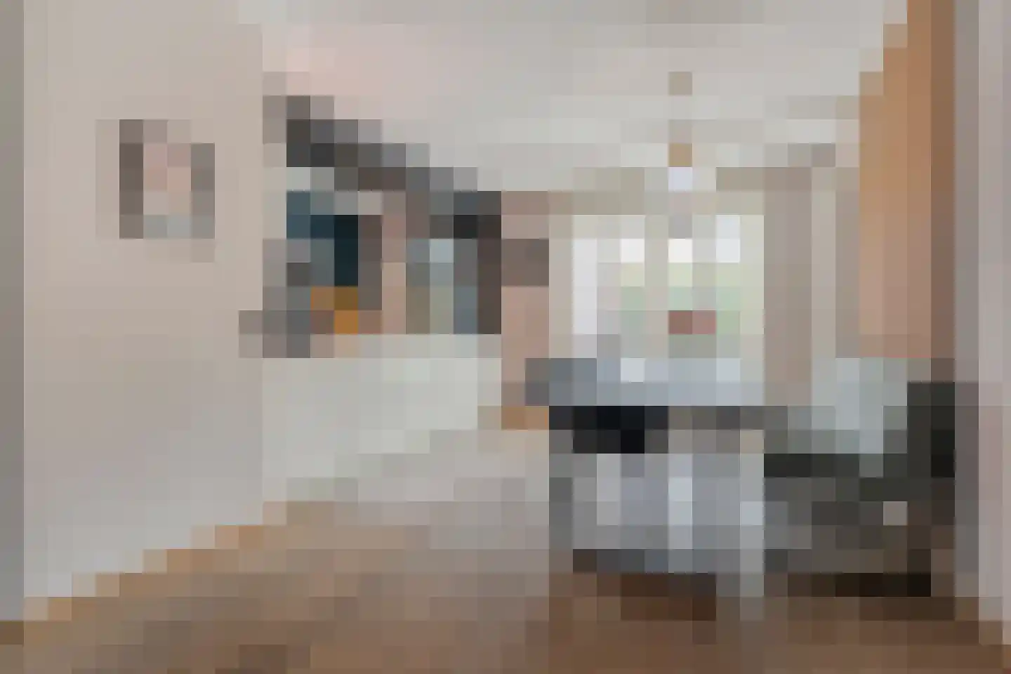 Bertram 9 Meppel thumbnail 8