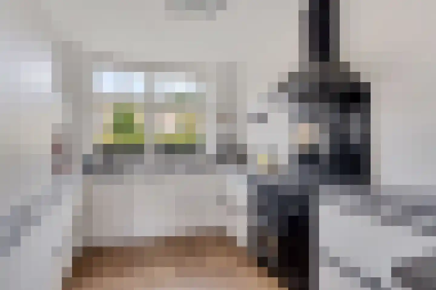 Bertrand Russelllaan 23 Den Haag thumbnail 15
