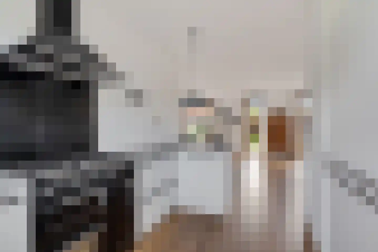 Bertrand Russelllaan 23 Den Haag thumbnail 17