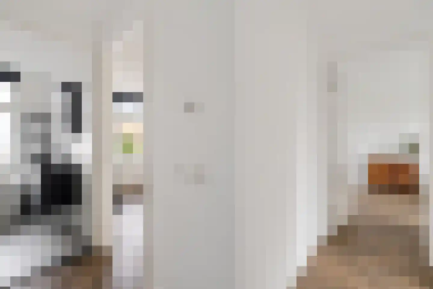 Bertrand Russelllaan 23 Den Haag thumbnail 18