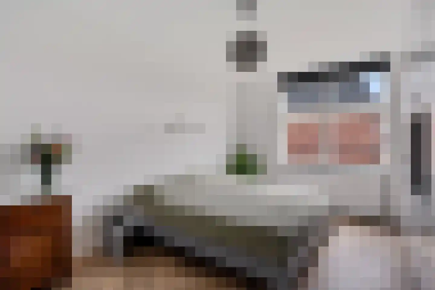 Bertrand Russelllaan 23 Den Haag thumbnail 19