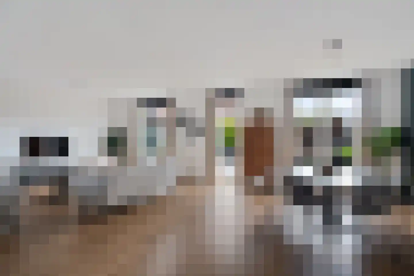 Bertrand Russelllaan 23 Den Haag thumbnail 8