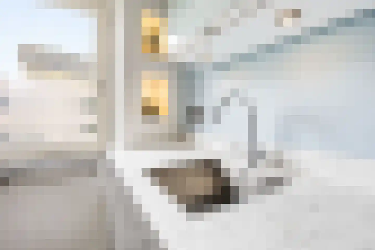 Bertrand Russellstraat 114 Amsterdam thumbnail 21