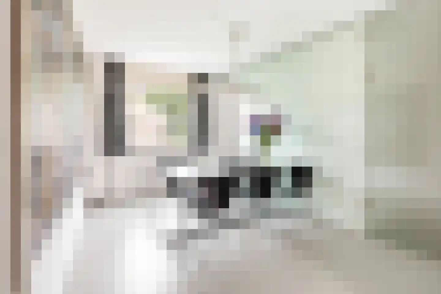 Bertrand Russellstraat 114 Amsterdam thumbnail 4