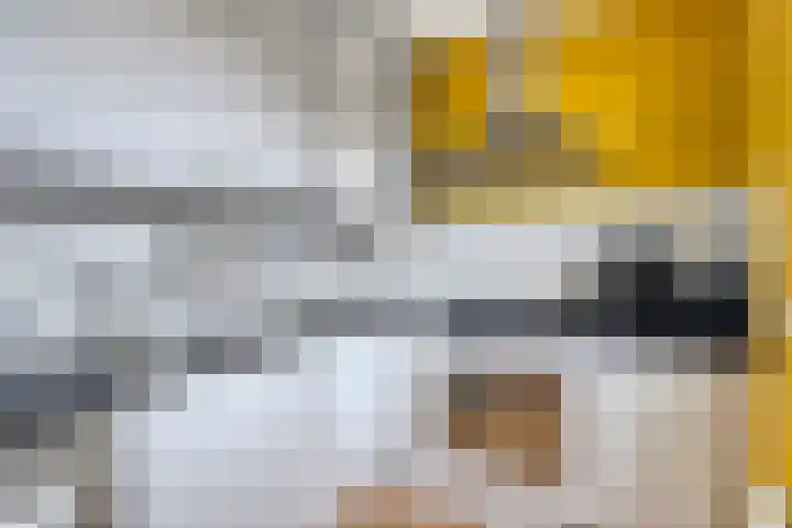 Bertrandhof 20 Uden thumbnail 10