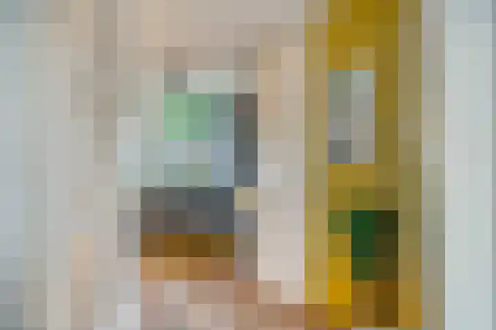 Bertrandhof 20 Uden thumbnail 11