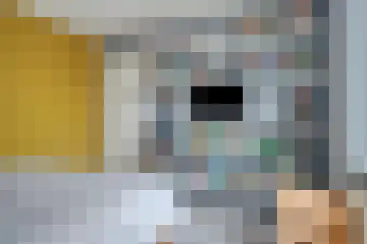 Bertrandhof 20 Uden thumbnail 15