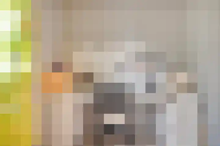 Bertrandhof 20 Uden thumbnail 17