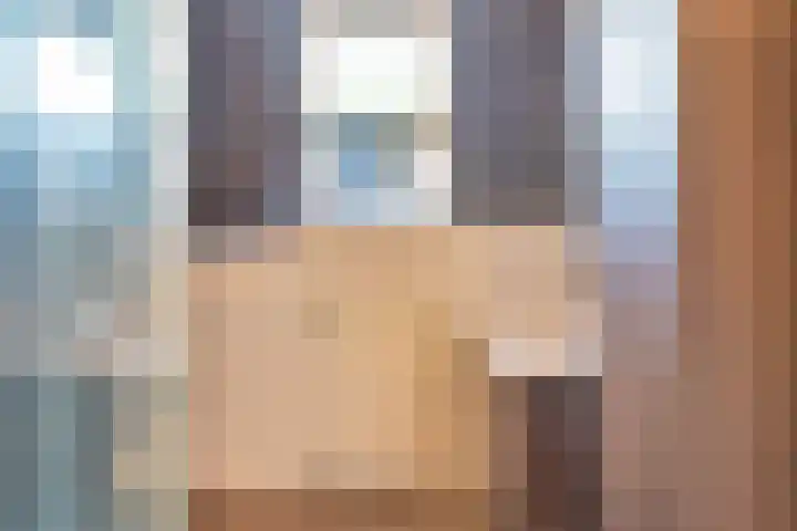 Bertrandhof 20 Uden thumbnail 18