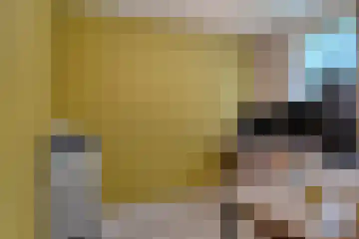 Bertrandhof 20 Uden thumbnail 20