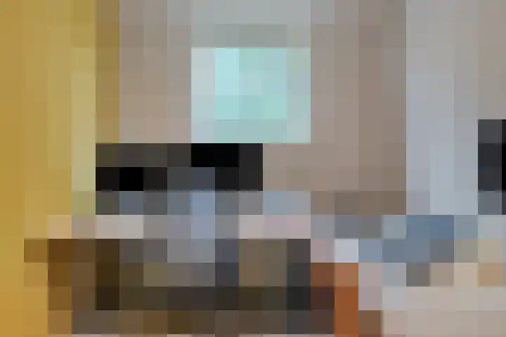 Bertrandhof 20 Uden thumbnail 21