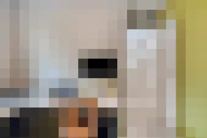 Bertrandhof 20 Uden thumbnail 22