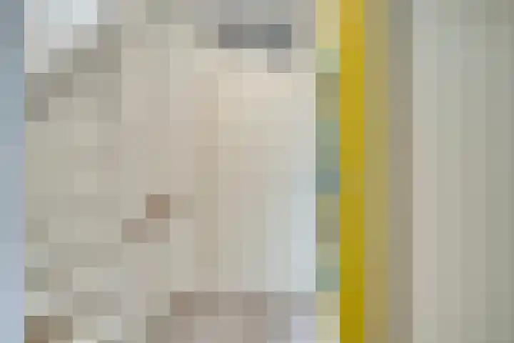 Bertrandhof 20 Uden thumbnail 23