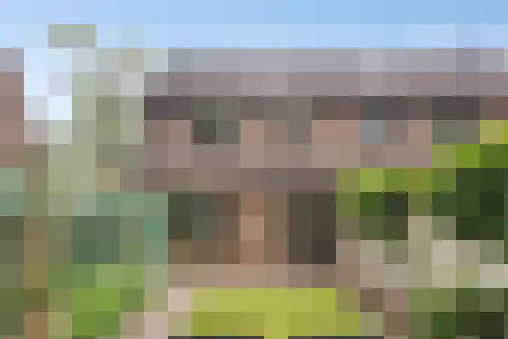 Bertrandhof 20 Uden thumbnail 26