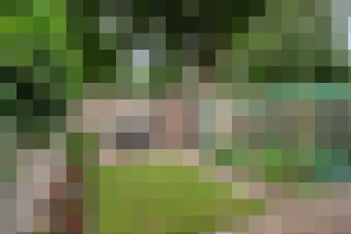 Bertrandhof 20 Uden thumbnail 27