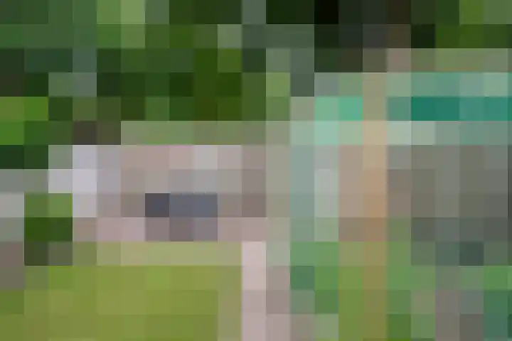 Bertrandhof 20 Uden thumbnail 28