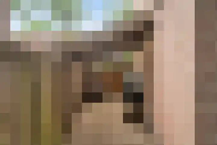 Bertrandhof 20 Uden thumbnail 29