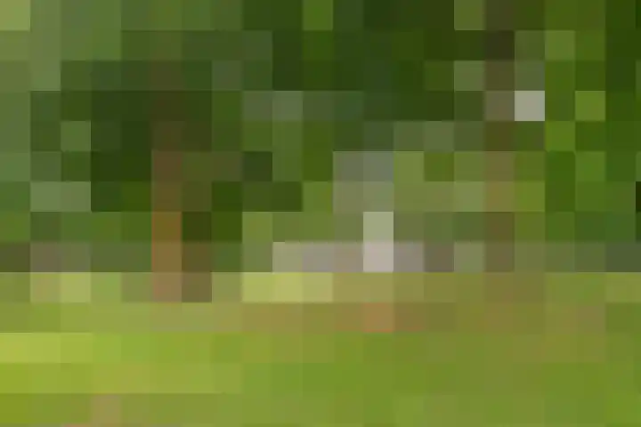 Bertrandhof 20 Uden thumbnail 33