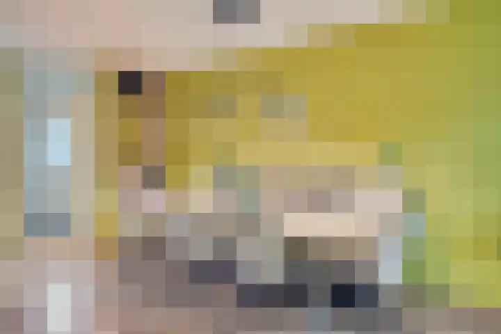 Bertrandhof 20 Uden thumbnail 6