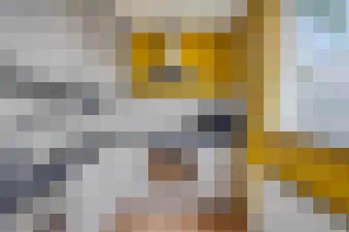 Bertrandhof 20 Uden thumbnail 8