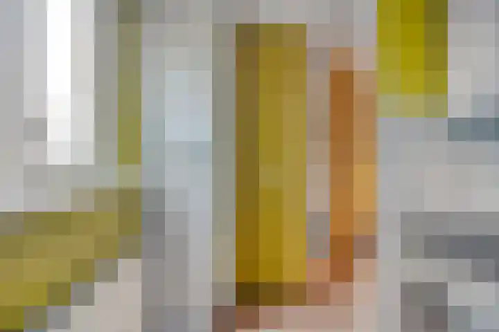 Bertrandhof 20 Uden thumbnail 9