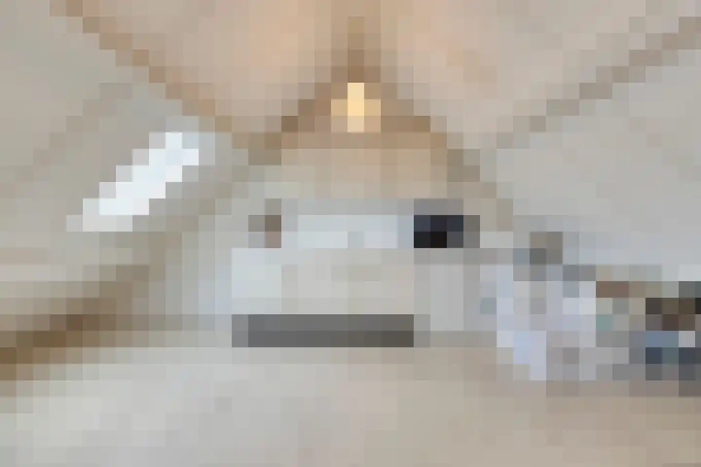 Bertrandhof 56 Uden thumbnail 28