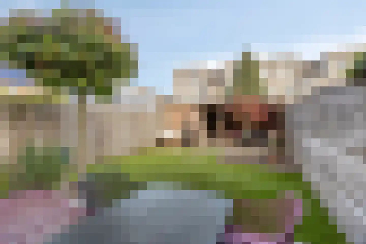 Bertrandhof 56 Uden thumbnail 32