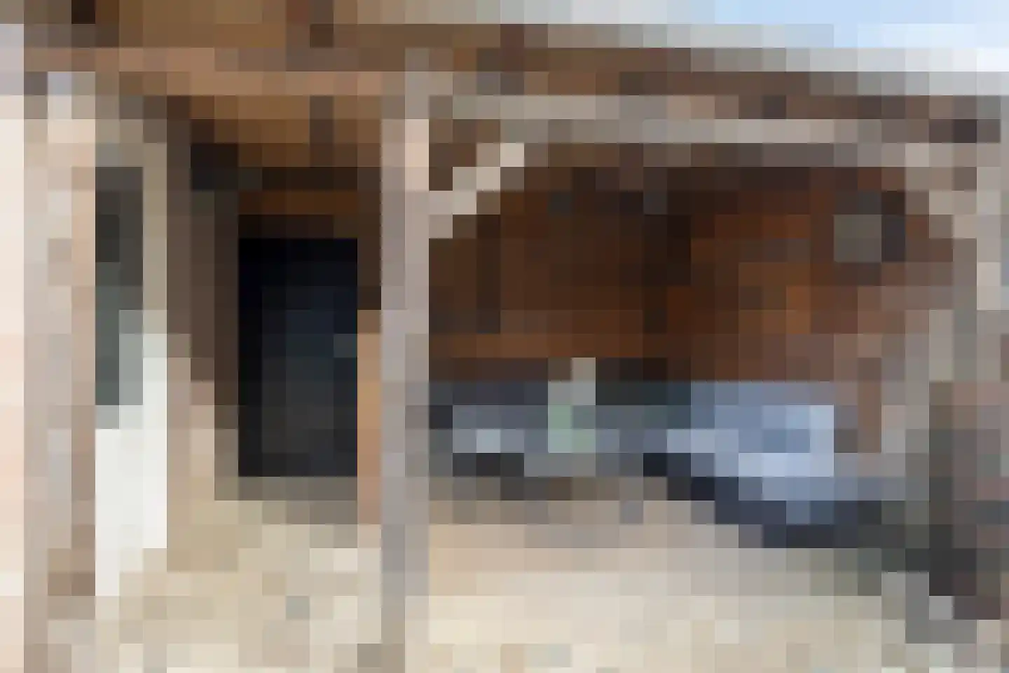 Bertrandhof 56 Uden thumbnail 33