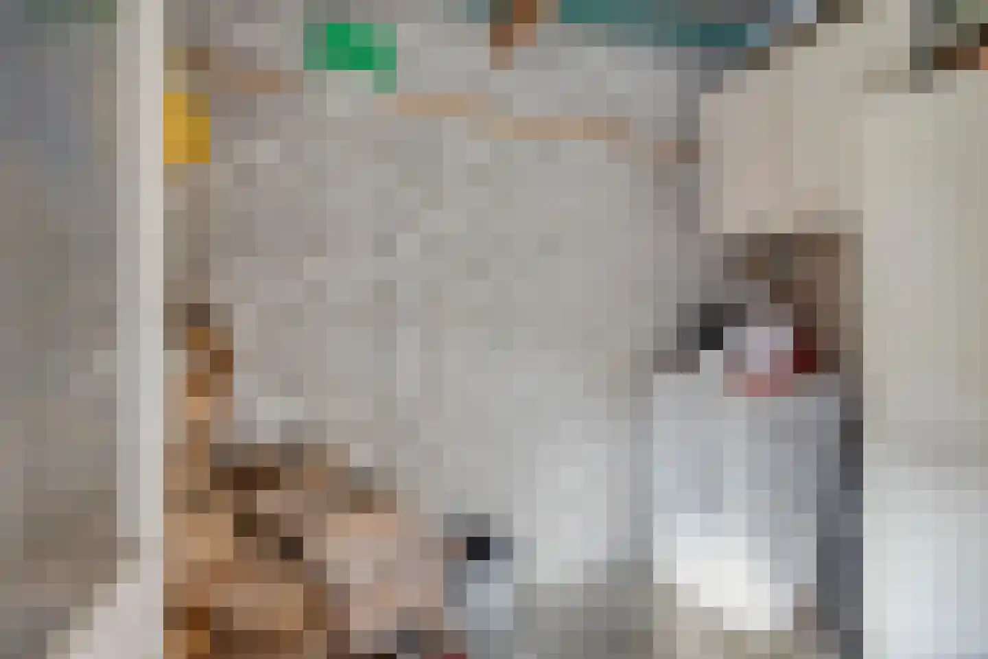 Bertrandhof 56 Uden thumbnail 34