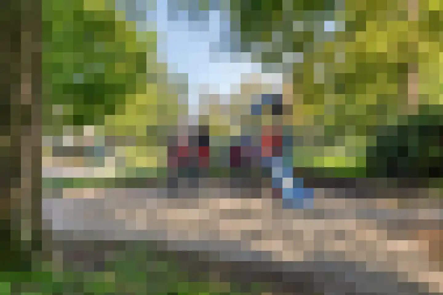 Bertrandhof 56 Uden thumbnail 35