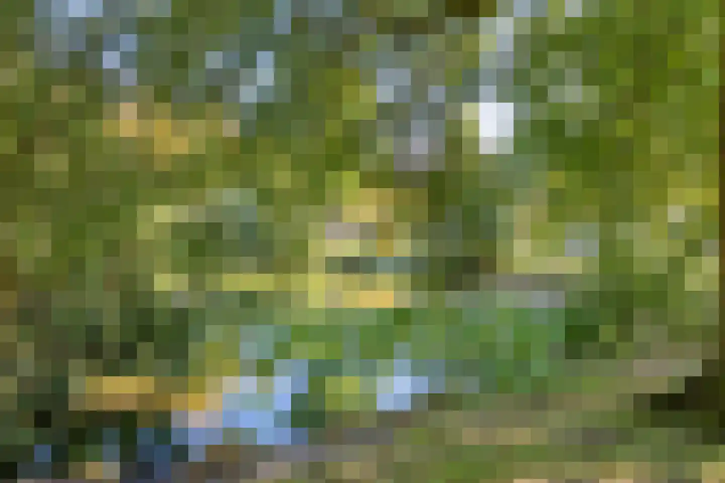 Bertrandhof 56 Uden thumbnail 36