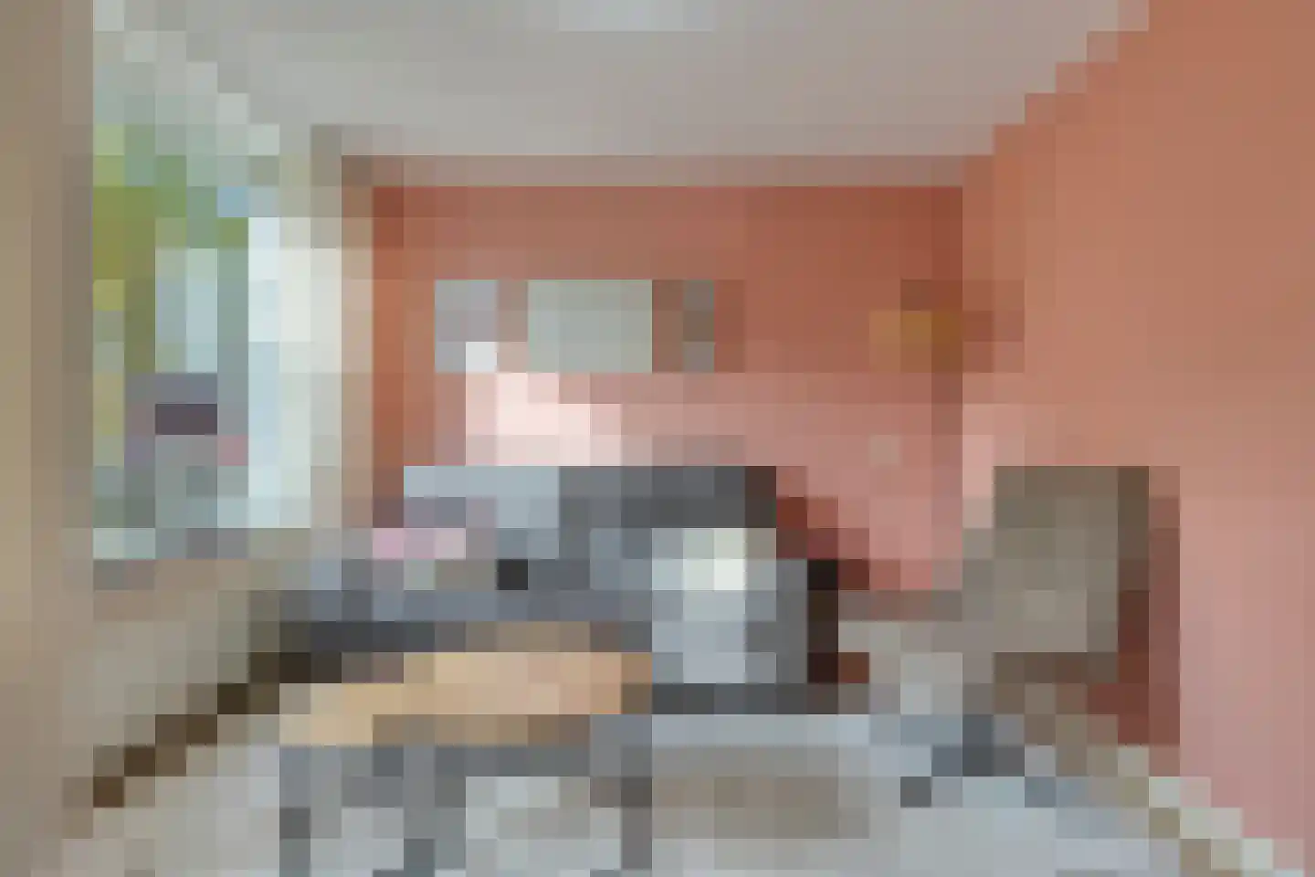 Bertrandhof 56 Uden thumbnail 7