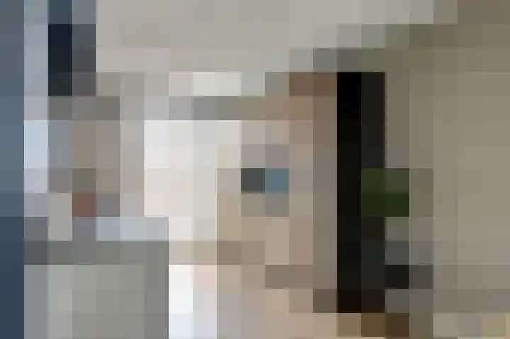 Bertus Aafjesboulevard 14 Grootebroek thumbnail 11