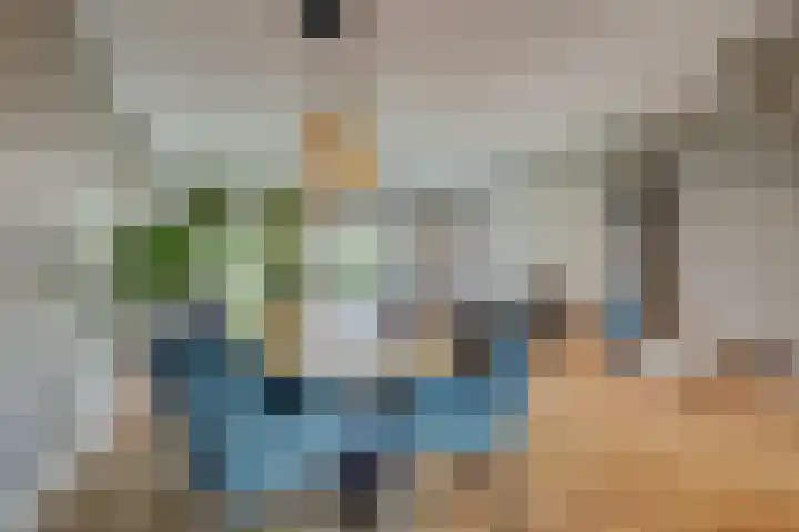 Bertus Aafjesboulevard 14 Grootebroek thumbnail 13