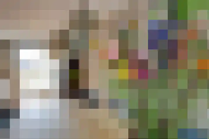 Bertus Aafjesboulevard 14 Grootebroek thumbnail 14