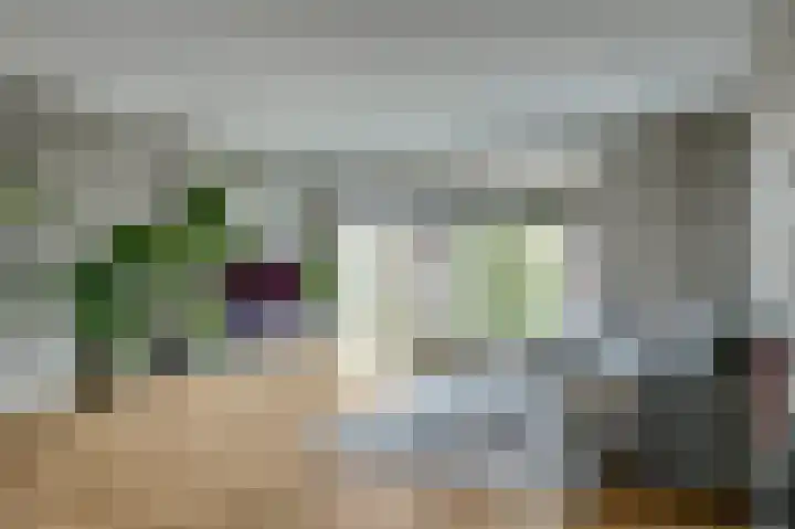 Bertus Aafjesboulevard 14 Grootebroek thumbnail 15
