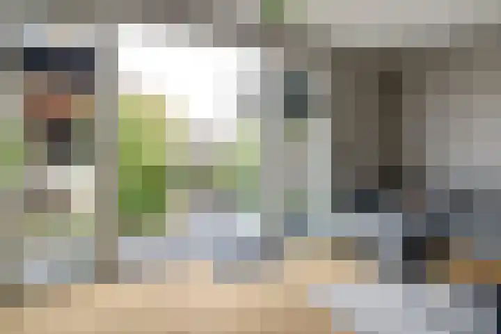 Bertus Aafjesboulevard 14 Grootebroek thumbnail 16