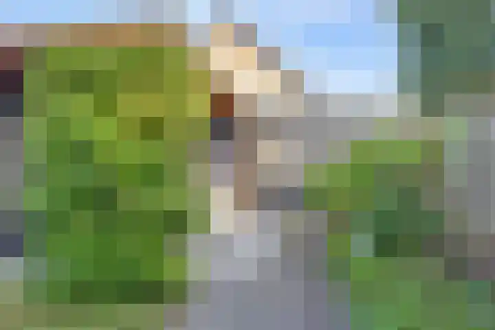 Bertus Aafjesboulevard 14 Grootebroek thumbnail 17