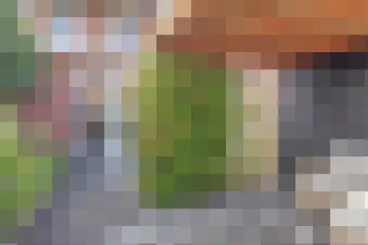 Bertus Aafjesboulevard 14 Grootebroek thumbnail 18